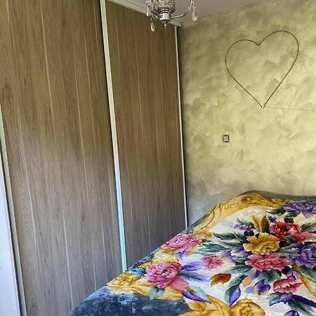 Charmant Appartement Entre Lacs Et Montagnes ! Culoz エクステリア 写真