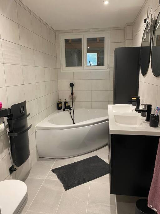 Charmant Appartement Entre Lacs Et Montagnes ! Culoz エクステリア 写真